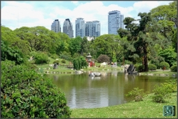 jardin japones buenos aires_05.jpg