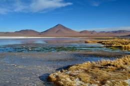 laguna colorada 11.JPG