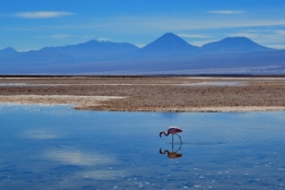 Salar d'atacama 01.jpg