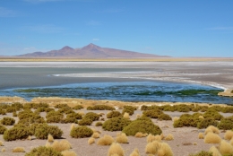 salar de tara _13.JPG