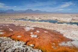 Salar d'atacama 12.JPG