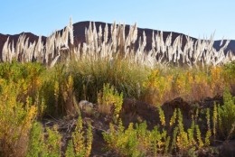 san pedro de atacama _10.JPG