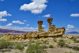 09) ischigualasto 21.jpg