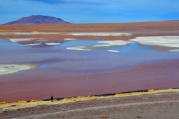 laguna colorada 09.jpg