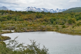 parc national de la Terre de Feu 17.JPG