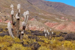 santa catalina argentina 24.JPG