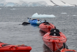 09b) Port Lockroy_244b.JPG