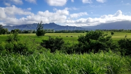 kauai 31.jpg