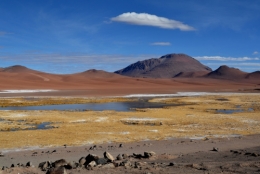 salar de tara _17.JPG