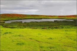 rano raraku paques_20.JPG