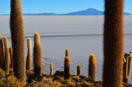 salar uyuni 05.JPG