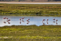 patagonie