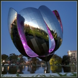 floralis generica 07.jpg