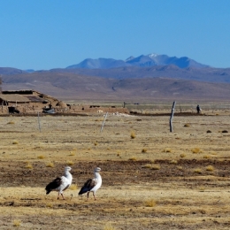 santa catalina argentina 05.JPG