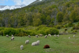 route 7 lacs argentine 13.JPG