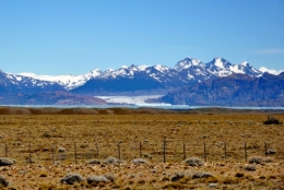 1a - calafate_002.JPG