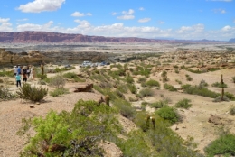 09) ischigualasto 23.jpg