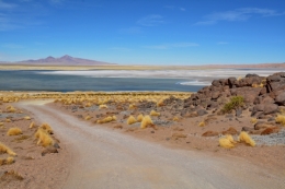 salar de tara _04.JPG