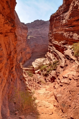 Las conchas quebrada 17.jpg