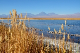  laguna cejar tebinquiche 08.JPG