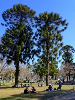 Parque centenario buenos aires_03.JPG