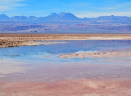 Salar d'atacama 13.JPG