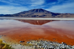 laguna colorada 08.jpg