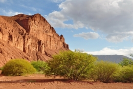 Las conchas quebrada 21.JPG
