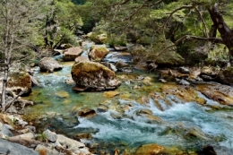 8) de san Martin à Bariloche 08.JPG