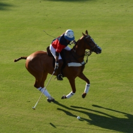 campo de polo buenos aires 07.JPG