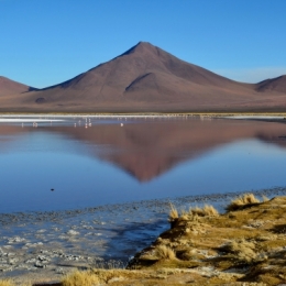 laguna colorada 18.JPG