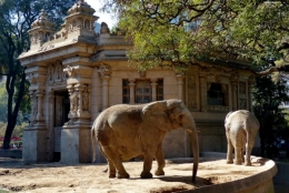 zoo buenos aires_38.JPG