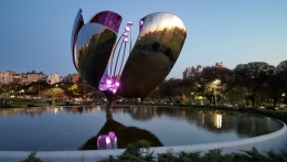 floralis generica 05.jpg