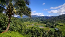 kauai 26.jpg
