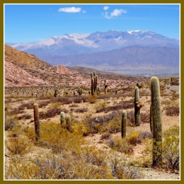 01) De Salta à Cachi_30bbb.jpg