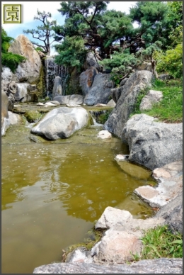 jardin japones buenos aires_12.JPG