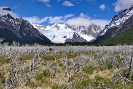 patagonie