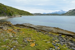parc national de la Terre de Feu 18.JPG