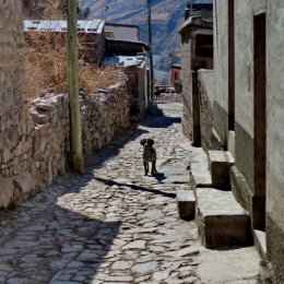 iruya 27.JPG