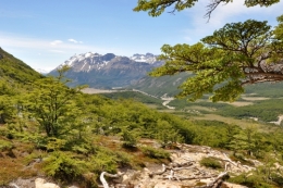 patagonie