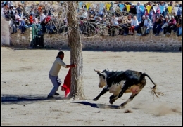 casabindo 2013 toreo vincha_37.jpg