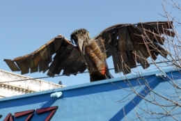 palermo viejo buenos aires_23.JPG