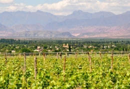 Cafayate_4.JPG