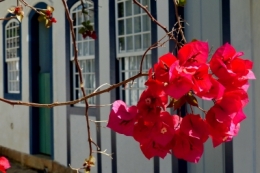 paraty rio_10.JPG