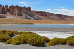 salar de tara _12.JPG