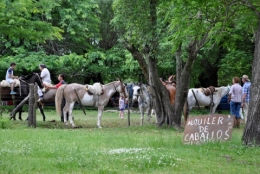 san antonio de areco_13.JPG