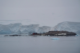 Port Lockroy 13.JPG