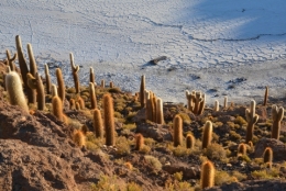 salar uyuni 07.JPG