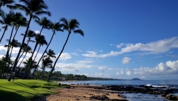 maui_04.jpg