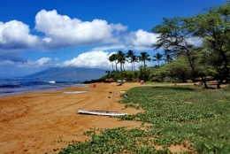 maui_19.jpg